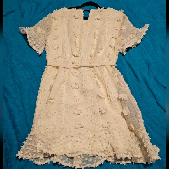 Pinkblush Cream Floral Applique Maternity Flounce Dress, Size S - Picture 4 of 4